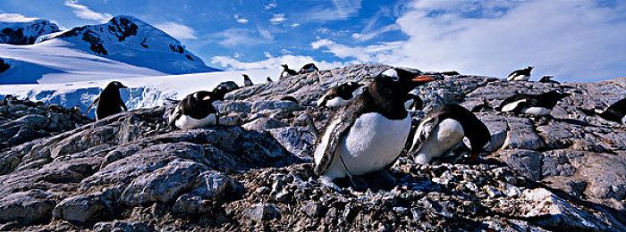 赛马模拟游戏《赛马大亨9：2022》最新PV 4月14日正式发售